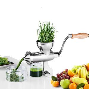 Manual Vegetable Juicer - Stainless Steel