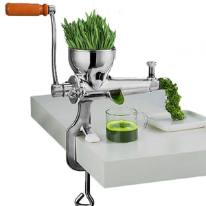 Manual Vegetable Juicer - Stainless Steel