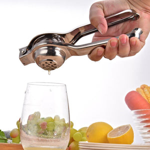 Lemon and Fruit Juicer